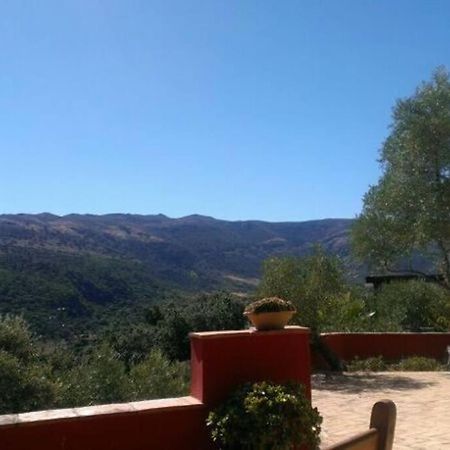 Villa Carmen Magnificent Country House In Serrania Ronda Exterior foto