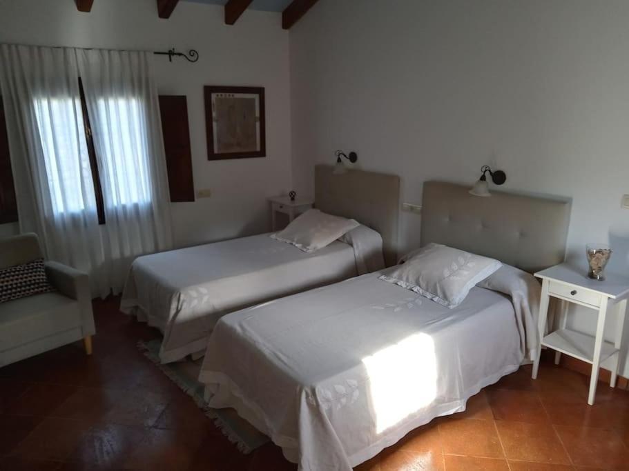 Villa Carmen Magnificent Country House In Serrania Ronda Exterior foto